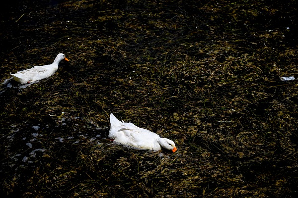 Foto - Bu anıtın tarihi 13.yüzyıla dayanıyor