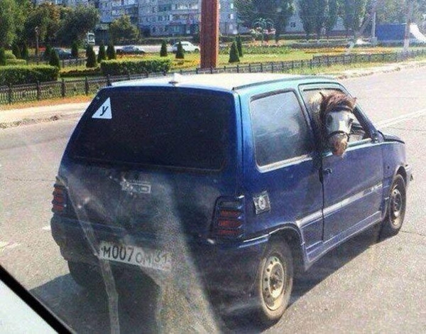 Foto - Bu arabaları görenler gözlerine inanamadı!