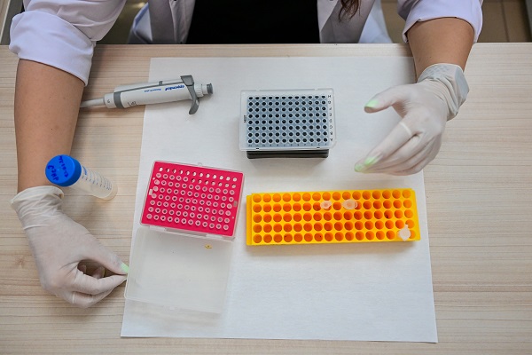 Foto - Bu araştırma çok konuşulur! Sportif başarının sırı genlerimiz mi? 