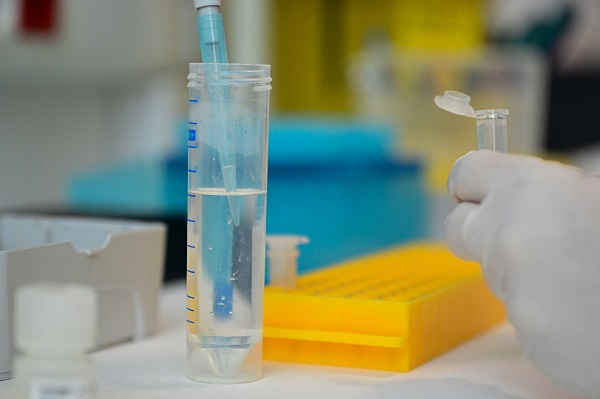 Foto - Bu araştırma çok konuşulur! Sportif başarının sırı genlerimiz mi? 