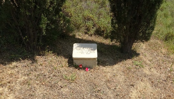 Foto - Bu atın dünyada bir örneği daha yok! 