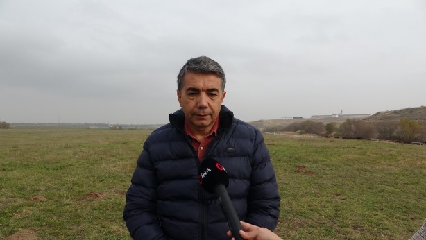Foto - Malatya'da bulunan bu atlardan para fışkırıyor!