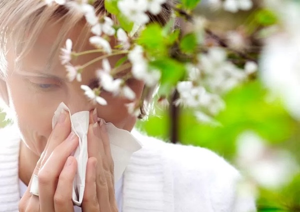 Foto - Bu aylara dikkat! Astım hastalarının bu önlemleri almaları şart