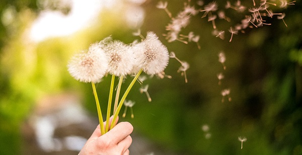 Foto - Bu aylara dikkat! Astım hastalarının bu önlemleri almaları şart