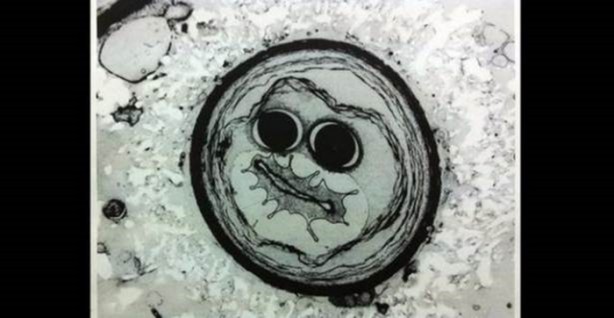 Foto - Bu ayrıntıları gözle görmek imkansız!