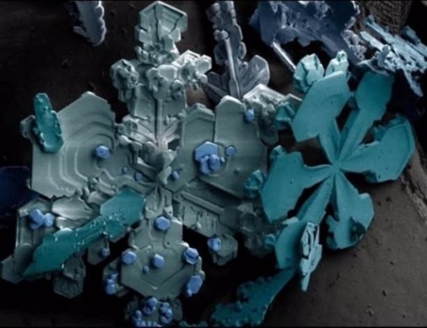 Foto - Bu ayrıntıları gözle görmek imkansız!