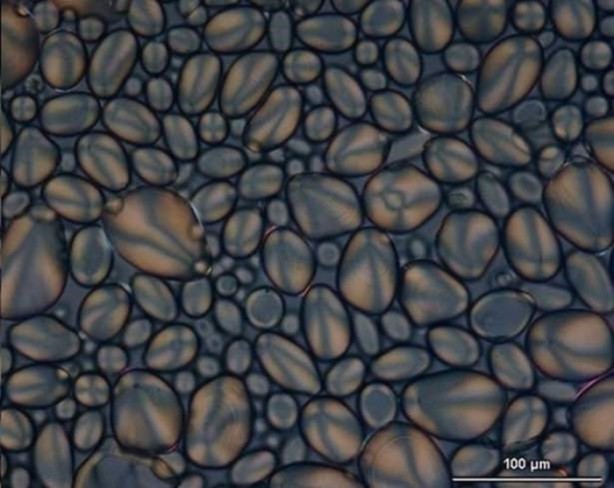 Foto - Bu ayrıntıları gözle görmek imkansız!