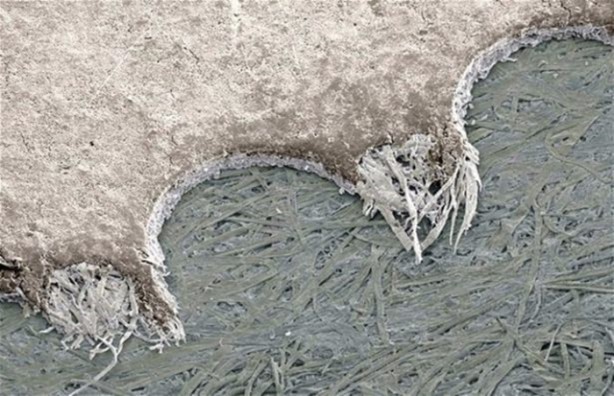 Foto - Bu ayrıntıları gözle görmek imkansız!