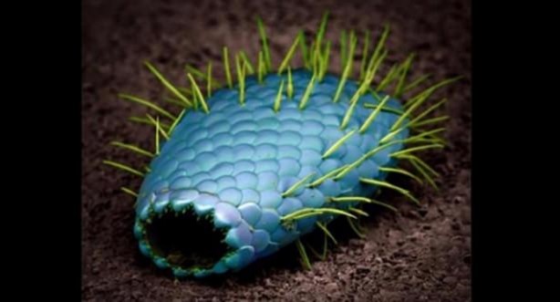 Foto - Bu ayrıntıları gözle görmek imkansız!