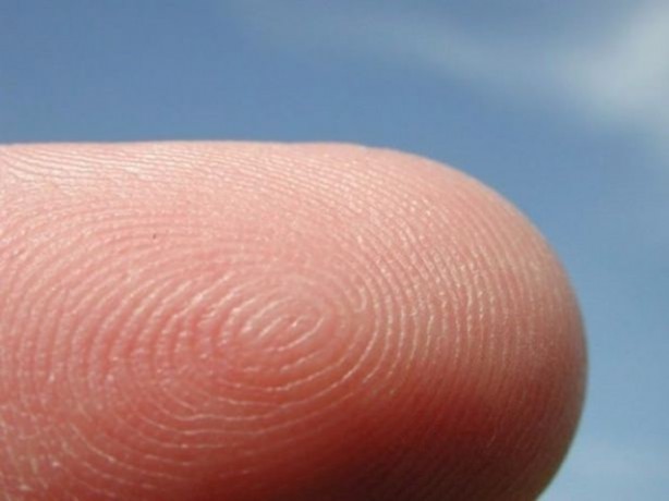 Foto - Bu ayrıntıları gözle görmek imkansız!