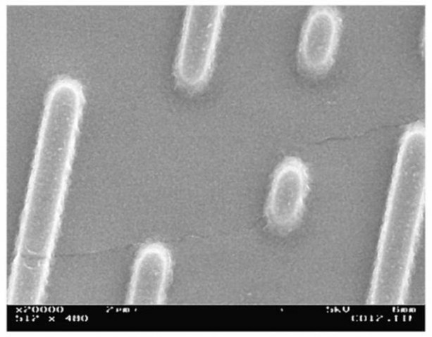 Foto - Bu ayrıntıları gözle görmek imkansız!