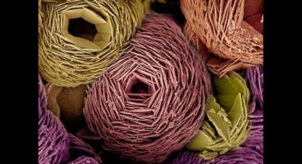 Foto - Bu ayrıntıları gözle görmek imkansız!