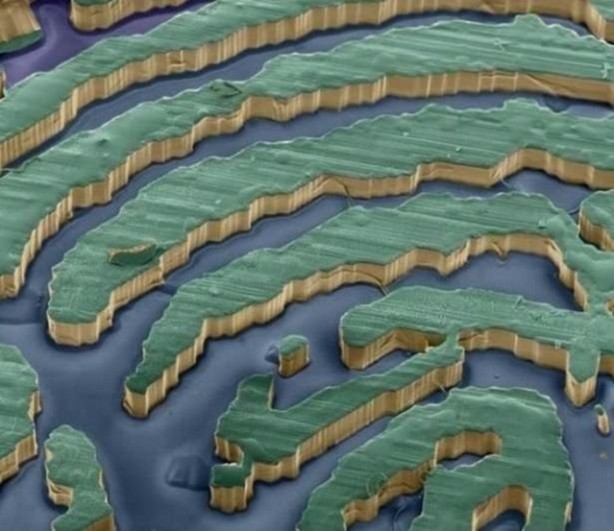 Foto - Bu ayrıntıları gözle görmek imkansız!