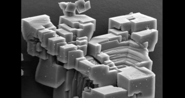 Foto - Bu ayrıntıları gözle görmek imkansız!