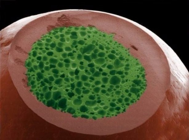 Foto - Bu ayrıntıları gözle görmek imkansız!