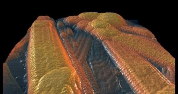 Foto - Bu ayrıntıları gözle görmek imkansız!