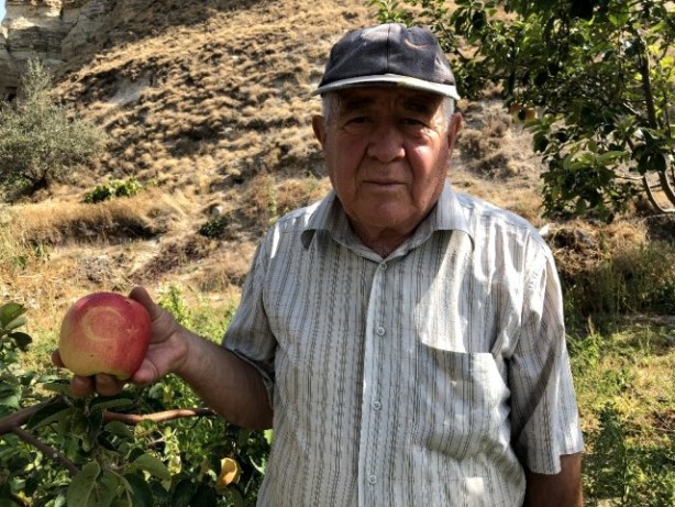 Foto - Bu ayvaları görenler hayrete düşüyor
