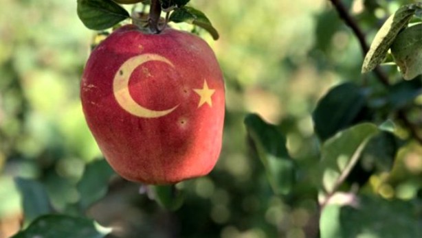 Foto - Bu ayvaları görenler hayrete düşüyor