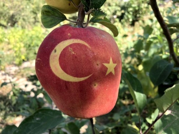 Foto - Bu ayvaları görenler hayrete düşüyor