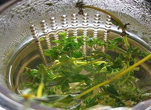 Foto - Bu baharat böbrekte kum taş vazgeçmiyor! İşte yararları saymakla bitmeyen fantastik baharat! Evde bunu yapın