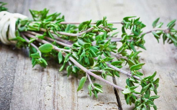Foto - Bu baharat böbrekte kum taş vazgeçmiyor! İşte yararları saymakla bitmeyen fantastik baharat! Evde bunu yapın