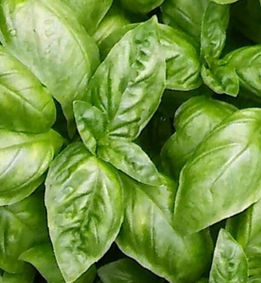 Foto - Bu baharatlar sağlık katar! Resmen şifa deposu sizi şaşkına çevirecek: Asla ihmal etmemelisiniz, kapış kapış gidiyor