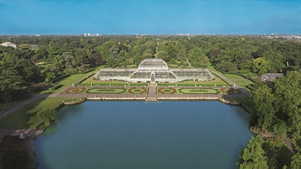 Foto - Bu bahçede yok yok!