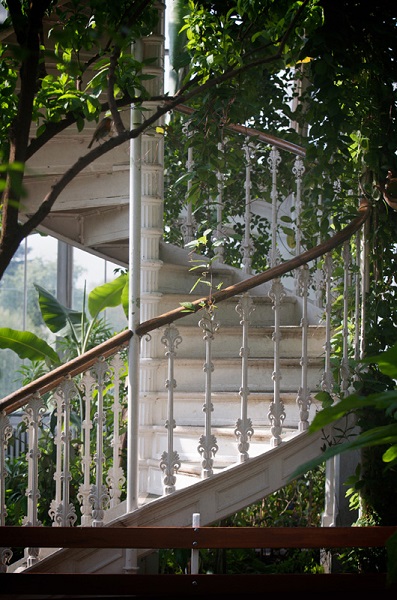 Foto - Bu bahçede yok yok!