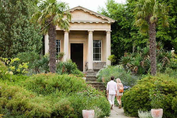 Foto - Bu bahçede yok yok!