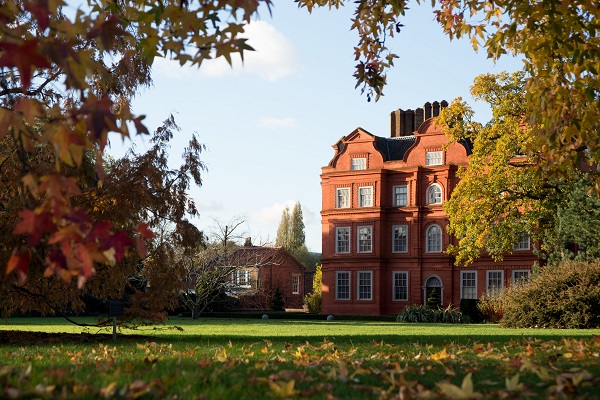 Foto - Bu bahçede yok yok!