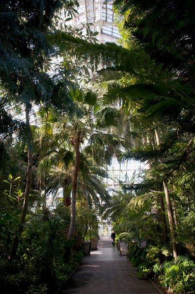 Foto - Bu bahçede yok yok!