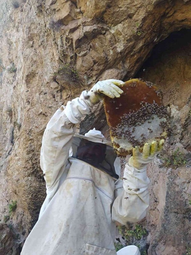 Foto - Bu bal başka bal! Bakın nereden çıkarılıyor