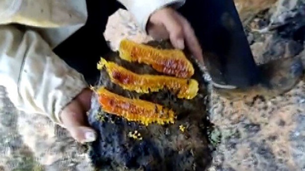 Bu bal başka bal! Bakın nereden çıkarılıyor