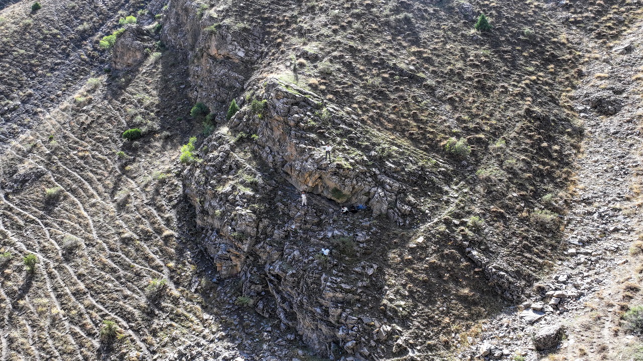 Foto - Bu bala ulaşmak için kilometrelerce yürüyorlar! Kilosu tam 10 bin lira