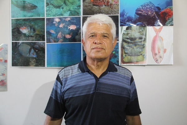 Foto - Bu balık artık mutfaklarımızı süsleyecek