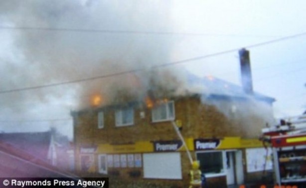 Foto - Bu balıklar ağaçta yaşıyor!