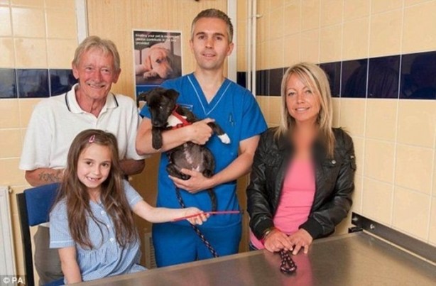 Foto - Bu balıklar ağaçta yaşıyor!