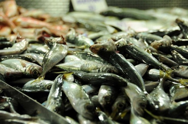 Foto - Bu balıkları kılçıklarıyla tüketin!