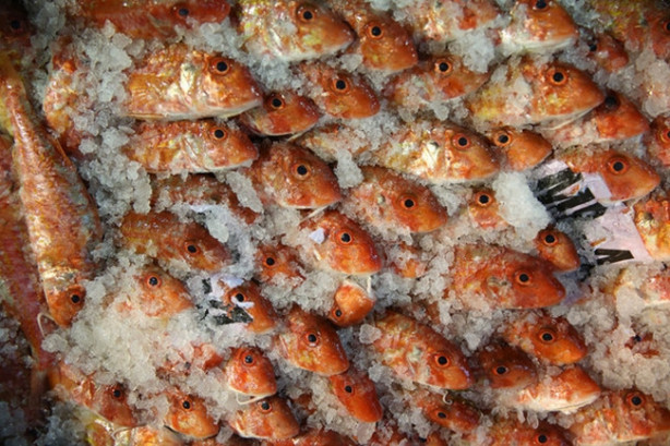 Foto - Bu balıkları kılçıklarıyla tüketin!