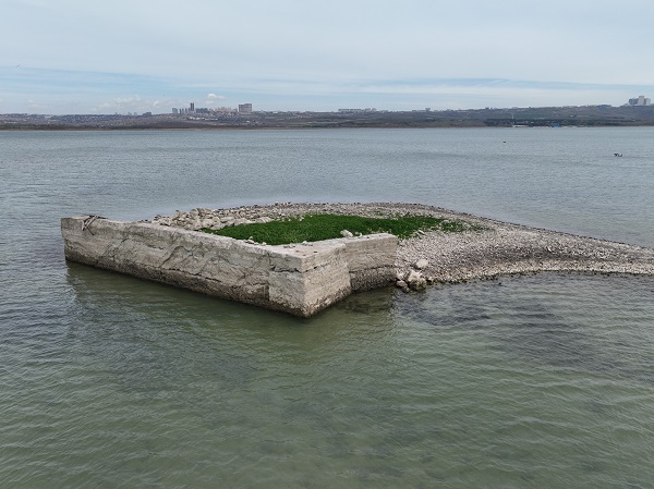 Foto - Bu baraj İstanbul'da! Balıkların yüzdüğü yer koyunlara kaldı