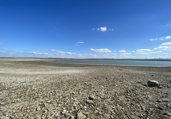 Foto - Bu baraj İstanbul'da! Balıkların yüzdüğü yer koyunlara kaldı