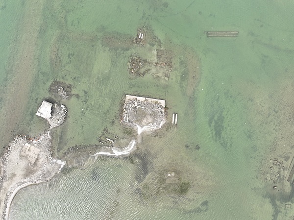 Foto - Bu baraj İstanbul'da! Balıkların yüzdüğü yer koyunlara kaldı