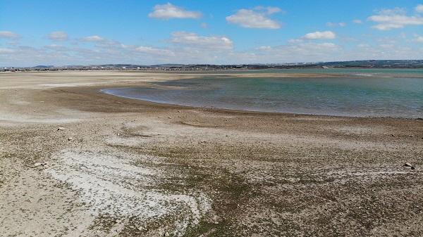 Foto - Bu baraj İstanbul'da! Balıkların yüzdüğü yer koyunlara kaldı