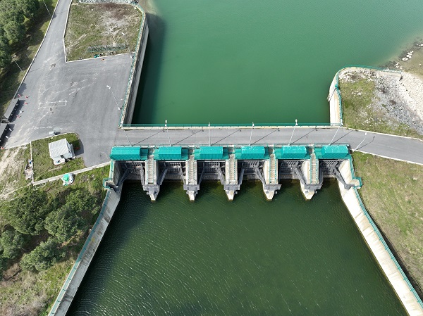 Foto - Bu baraj İstanbul'da! Balıkların yüzdüğü yer koyunlara kaldı