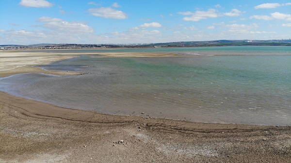 Foto - Bu baraj İstanbul'da! Balıkların yüzdüğü yer koyunlara kaldı
