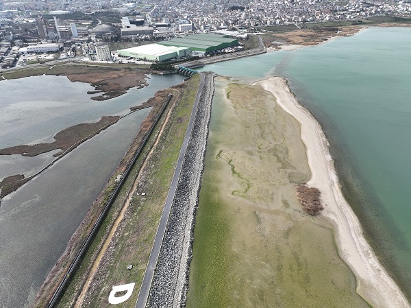 Foto - Bu baraj İstanbul'da! Balıkların yüzdüğü yer koyunlara kaldı