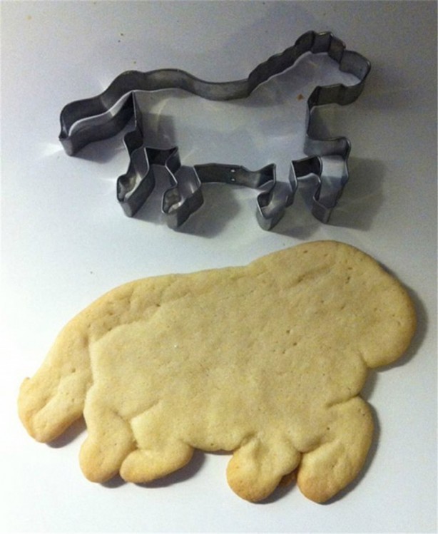 Foto - Bu başarısızlıklar sizi çok güldürecek!