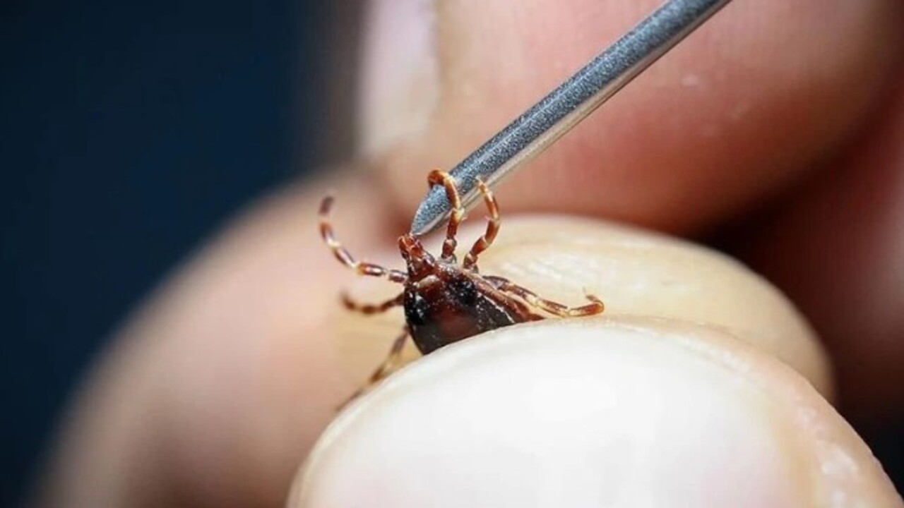 Foto - Bu belirtiler varsa dikkat! Ölümcül KKKA vakaları yükselişe geçti