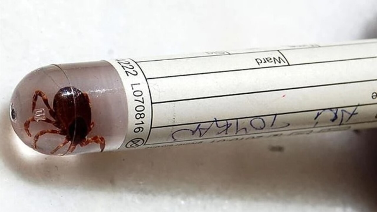 Bu belirtiler varsa dikkat! Ölümcül KKKA vakaları yükselişe geçti