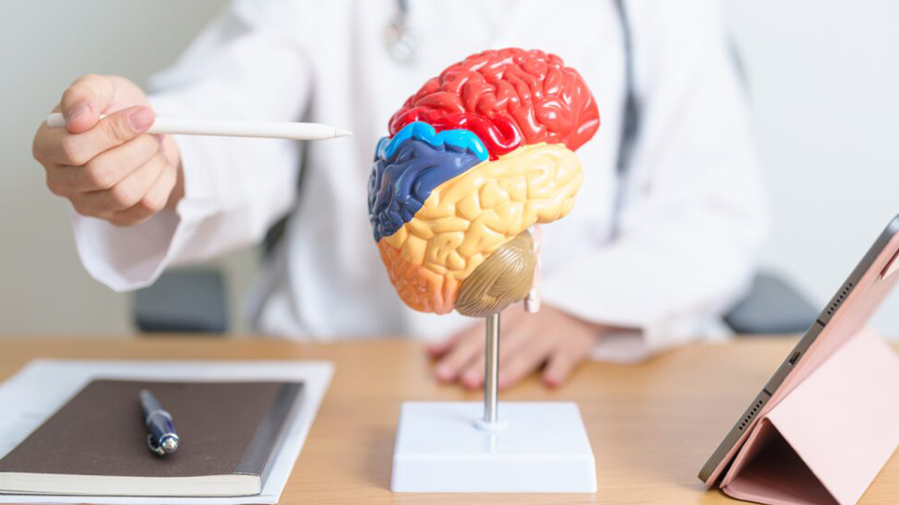 Foto - Bu belirtiler yaşlılık değil, alzheimer olabilir! Unutkanlık mı, tehlike mi? İşte 10 kritik işaret!